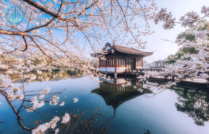 Một thoáng Tây Hô Hàng Châu khi xuân về