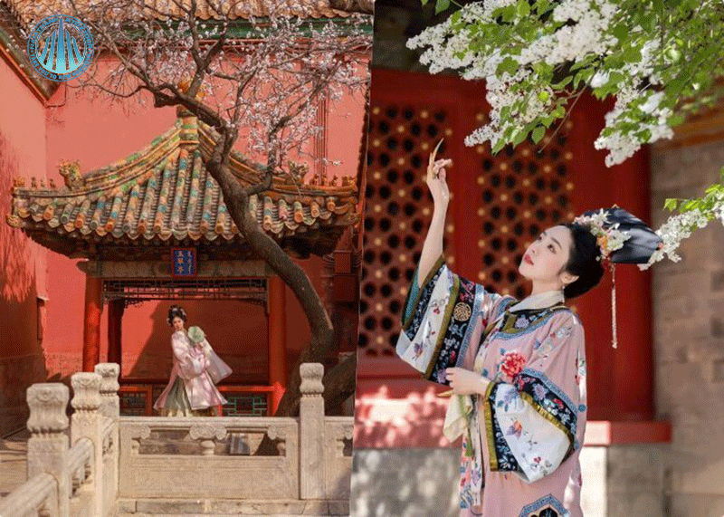 Mùa xuân ở Cố Cung rực rỡ hoa lá cành