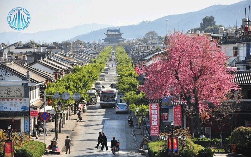Phố phường Côn Minh ngày xuân sang