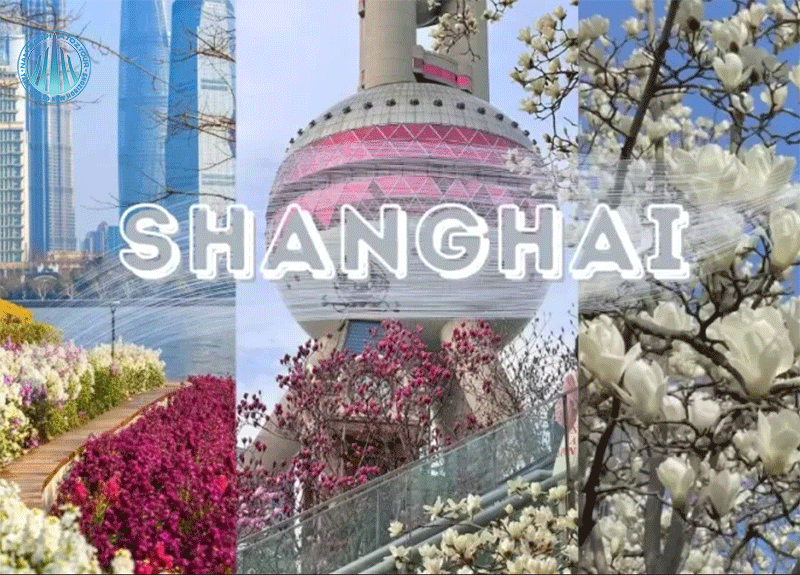 Sắc xuân ở thành phố Thượng Hải