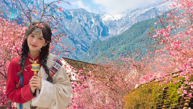 Sống ảo cùng vườn hoa anh đào ở Lệ Giang
