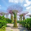 Tour Hà Nội – Singapore – Malaysia-Atoz tour