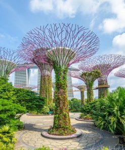 Tour Hà Nội – Singapore – Malaysia-Atoz tour