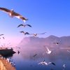 Hồ Điền Trì ATOZ TOUR