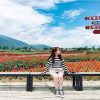 Trang trại Hoa Thái Hòa Thành ATOZ TOUR