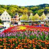 Công viên Everland atoz tour