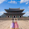 ha-noi-seoul-nami-everland-atoz-tour-2