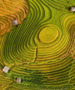 Mù Cang Chải 2 Ngày 1 đêm atoz tour