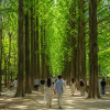 ha-noi-seoul-nami-everland-atoz-tour-1