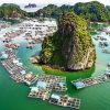 Làng chài nổi Cái Bèo ATOZ TOUR