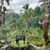 Bali - Hòn Đảo Thiên Đường - 5 Ngày 4 Đêm - atoztour - 3