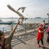 Busan- Seoul - Nami – Trượt Tuyết Elysian - atoztour - 2