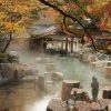 HÀ NỘI – NARA - OSAKA – KYOTO - LÀNG CỔ SHIRAKAWA - MATSUMOTO – NÚI PHÚ SĨ – TOKYO - atoztour - 3