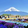 HÀ NỘI – OSAKA – KYOTO NAGOYA – NÚI PHÚ SĨ – TOKYO - atoztour - 3