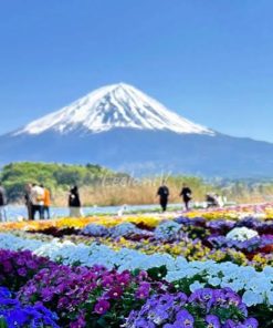 HÀ NỘI – OSAKA – KYOTO NAGOYA – NÚI PHÚ SĨ – TOKYO - atoztour - 3