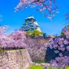 HÀ NỘI – OSAKA – KYOTO – PHÚ SĨ - TOKYO - atoztour - 1