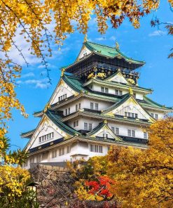 HÀ NỘI – OSAKA – KYOTO – PHÚ SĨ - TOKYO - atoztour - 1