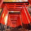 HÀ NỘI – OSAKA – KYOTO – PHÚ SĨ - TOKYO - atoztour - 3