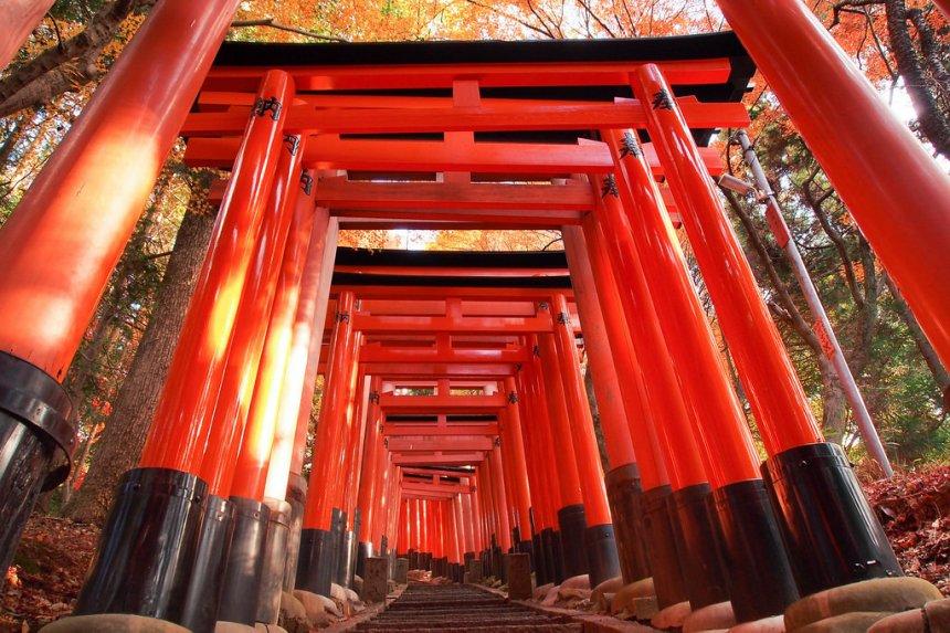 HÀ NỘI – OSAKA – KYOTO – PHÚ SĨ - TOKYO - atoztour - 3