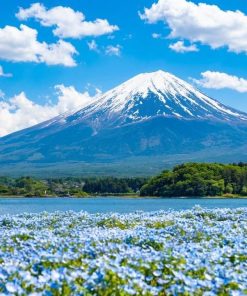 HÀ NỘI – OSAKA – KYOTO – PHÚ SĨ - TOKYO - atoztour - 5