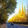 HÀ NỘI – OSAKA – KYOTO – PHÚ SĨ - TOKYO - atoztour - 6
