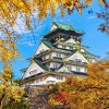 HÀ NỘI – OSAKA – KYOTO – PHÚ SĨ – TOKYO - atoztour - 6