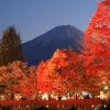 HÀ NỘI – OSAKA – KYOTO – PHÚ SĨ – TOKYO - atoztour - 5