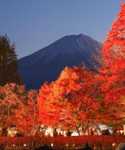 HÀ NỘI – OSAKA – KYOTO – PHÚ SĨ – TOKYO - atoztour - 5