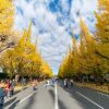 HÀ NỘI – OSAKA – KYOTO – PHÚ SĨ – TOKYO - atoztour - 3