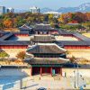 Seoul - Nami – Korean Folk Village- Trải Nghiệm Đào Sâm - atoztour - 1