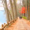 Tour BUSAN – Seoul – Đảo Nami – Incheon- Đi Phà Cho Hải Âu Ăn Trải Nghiệm Tàu Cao Tốc KTX Tuyến Busan – Seoul - 6