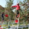 Tour Busan – Tàu Ven Biển - Seoul - Nami – Hà Nội - atoztour - 4