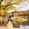 Tour Busan – Tàu Ven Biển - Seoul - Nami – Hà Nội - atoztour - 6