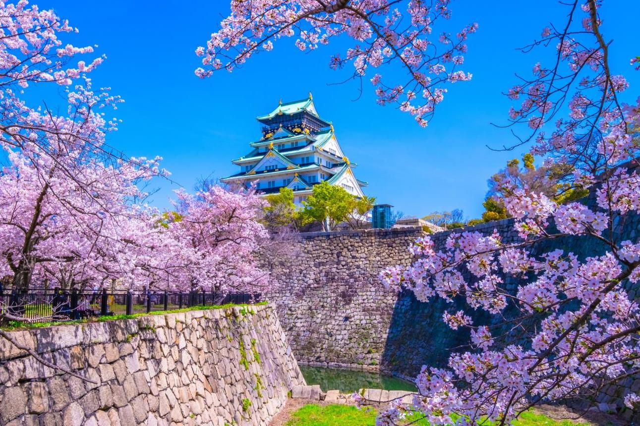 Tour Osaka – Kyoto – Phú Sĩ - Tokyo - atoztour - 1