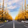 Tour Osaka – Kyoto – Phú Sĩ - Tokyo - atoztour - 2