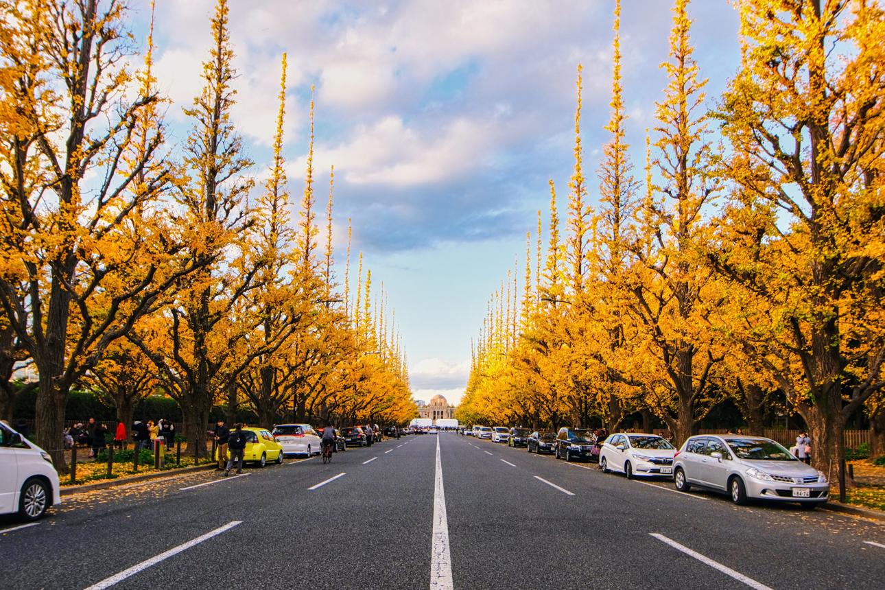 Tour Osaka – Kyoto – Phú Sĩ - Tokyo - atoztour - 2