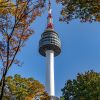 Tour-SEOUL – NAMI – EVERLAND-atoz-tour-5