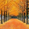 Tour Seoul – Nami – Everland – Thư Viện Starfield - Đại Học Kyung Hee - atoztour - 1