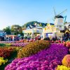 Tour Seoul – Nami – Everland – Thư Viện Starfield - Đại Học Kyung Hee - atoztour - 3