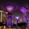 Tour Singapore – Grden By The Bay – Sentosa – Jewel - atoztour -2