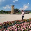 Trải Nghiệm Tàu Cao Tốc KTX Tuyến Busan - Seoul - atoztour - 4