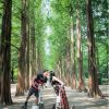 Trải Nghiệm Tàu Cao Tốc KTX Tuyến Busan - Seoul - atoztour - 6